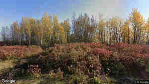 650 De Lilenepawa Ch