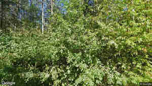 2200 MacHarstrong Boundary Road W